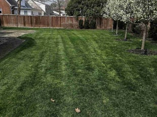 Carl C.'s Lawn Maintenance service result