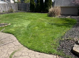 George C.'s Lawn Service service result