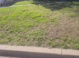 Cleanups by Kyle Anderson for Joba M. in Saint Paul, MN