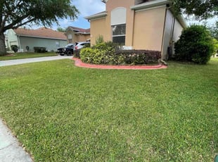 Dorothy W.'s Yard Cutting service result