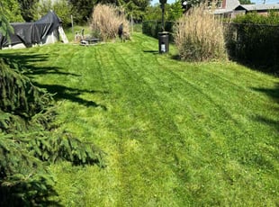 Kathleen Z.'s Lawn Service service result