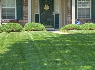 Bush Trimming by Tyriek James for Kenneth T. in Avon, IN