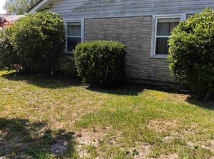 Bush Trimming by Reginald Kennedy for Charles S. in Pensacola, FL