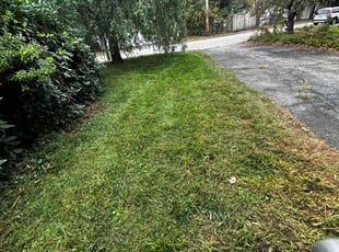 Emily s.'s Lawn Mowing service result