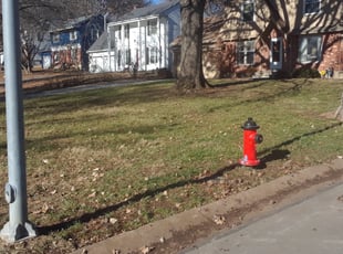 Leaf Removal by Julio Almestica for George W. in Kansas City, MO
