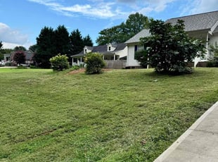 Richard C.'s Lawn Mowing Service service result