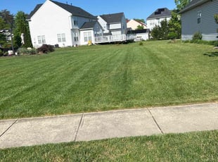 Jennifer N.'s Lawn Mowing service result