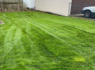 Laneka F.'s Grass Cutting service result