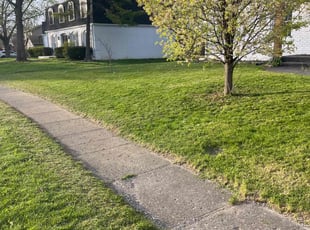 Maggie R.'s Lawn Service service result