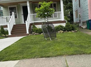 Nancy C.'s Lawn Care service result