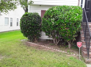 Bush Trimming by Maurice Jackson for Christina j. in Atlanta, GA