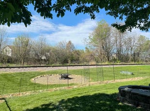 Anita M.'s Lawn Mowing service result