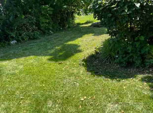 Weeding by Kunle Okubena for Mark K. in Laurel, MD