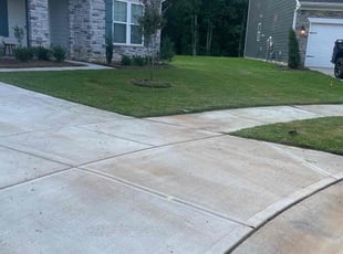 Rogenea S.'s Lawn Service service result