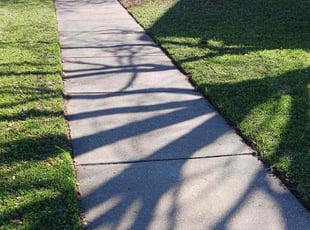Veronica H.'s Lawn Mowing Service service result