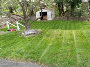 Sean O.'s Grass Cutting service result