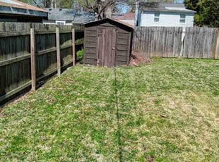 Marcy E.'s Lawn Care service result