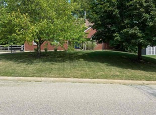 Miriam S.'s Lawn Service service result