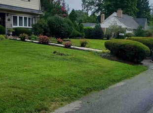 Janet E.'s Grass Cutting service result