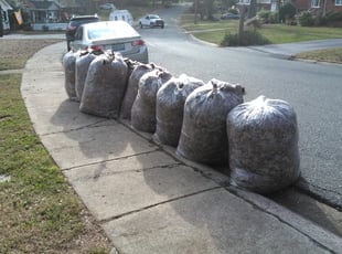 Cleanups by Adams Paiz for Jenna B. in Charlotte, NC