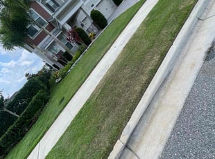 Weeding by Jaylon Fair for Nancy B. in Clermont, FL