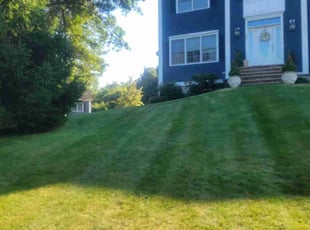 Sheila W.'s Lawn Care service result