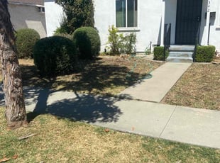 Bush Trimming by Marco Delgadillo for Robyn B. in Norwalk, CA