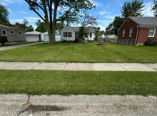 Luis C.'s Lawn Care service result