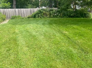 Ronald C.'s Lawn Care service result