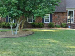 Millie C.'s Lawn Service service result