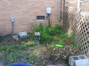 Landscaping by Zane Rollins for Mary H. in Cayce, SC