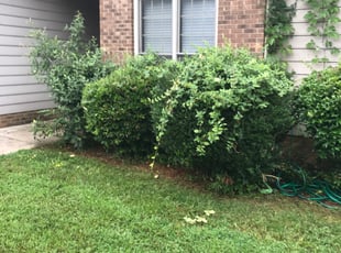 Cleanups by Randall Mauney for Ken L. in Gastonia, NC