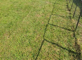 Michael J.'s Lawn Mowing Service service result