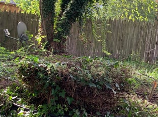 Bush Trimming by Aj Lundy for Deshawn S. in Portsmouth, VA