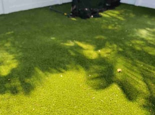 Josephine G.'s Lawn Service service result
