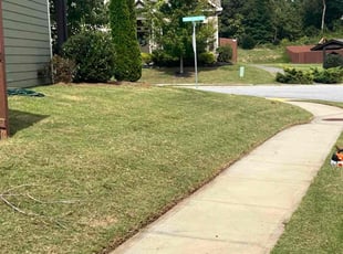 Gretchen K.'s Lawn Mowing Service service result