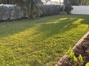 Morgan P.'s Lawn Service service result