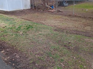 Leaf Removal by Mathew Benham for Tom H. in Syracuse, NY