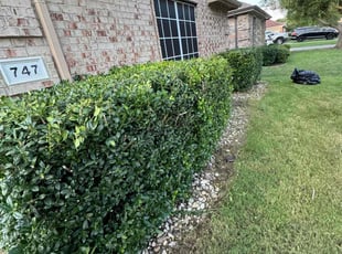 Jancarlos L.'s Cleanups service result