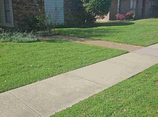 Sherry M.'s Yard Cutting service result