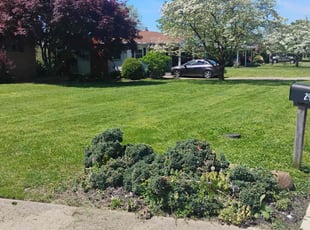 William E.'s Lawn Care service result