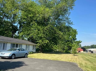 Mary Anne M.'s Grass Cutting service result