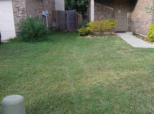 Sandra F.'s Yard Cutting service result