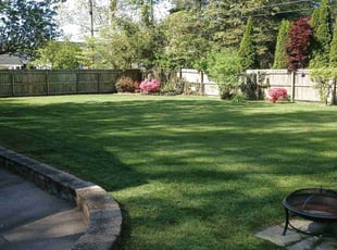 Isabelle C.'s Lawn Mowing service result