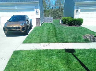 Dale L.'s Lawn Care service result