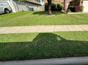 Randy R.'s Lawn Mowing service result