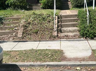 Bush Trimming by Steven Foster for Sheila A. in Washington, DC