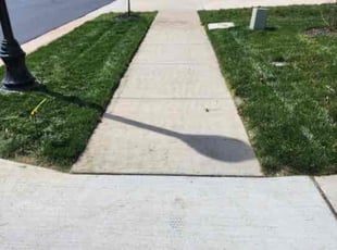 Reyes R.'s Lawn Service service result
