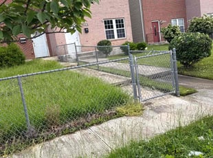 Bush Trimming by Samuel Jordon for Wilkins X. in Baltimore, MD