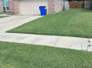 Marsha H.'s Yard Cutting service result